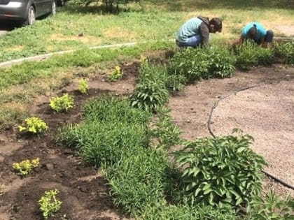 Непрерывный уход