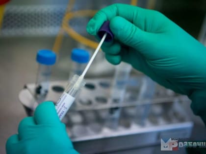 Первый зараженный штаммом коронавируса «Кракен» выявлен в России