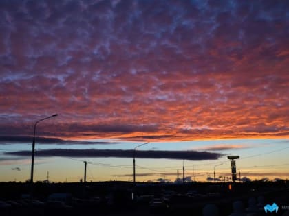 В Челябинской области ожидаются ночные заморозки