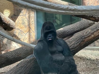 Загрязняющие вещества в воздухе Челябинска и Магнитогорска  вновь превышают норму