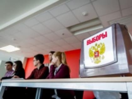 За выборами в Челябинской области будут следить 190 независимых общественных наблюдателей