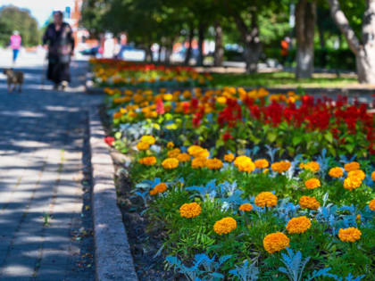 На Южном Урале ожидаются кратковременные дожди и грозы