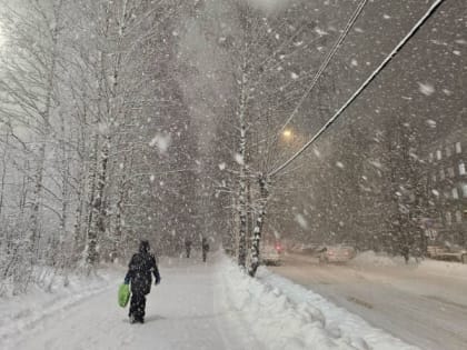 Челябинская область столкнется с резкими колебаниями температуры из-за Сибирского антициклона