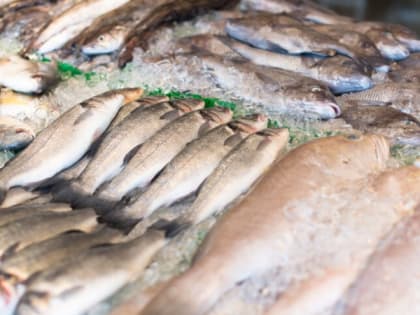 Опасности паразитов в рыбе: как защититься от заражения