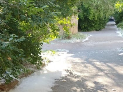 Тополиный пух на улицах Челябинска будут заливать водой