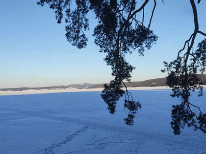 На оздоровление челябинских детей направили 250 млн, куплено более 7,5 тыс. путевок