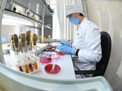 В Челябинской области за неделю клещи покусали 650 человек