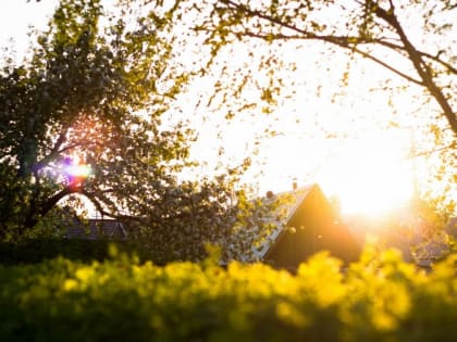 Магнитогорцев предупреждают об аномальной жаре
