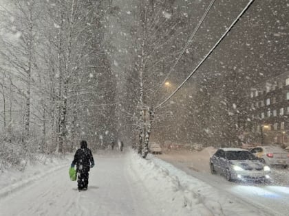 В Челябинской области пройдут сильные снегопады и потеплеет до +3