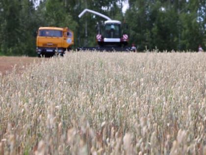 Челябинские аграрии пожаловались на сокращение урожайности зерна