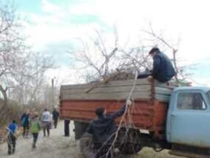 Трудовые отряды школьников Варненского района собрали урожай и подвели итоги летней смены