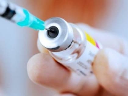 Саткинцы спрашивают, где приобрести вакцину от клещевого энцефалита