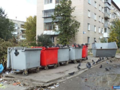 Проблема со свалками на контейнерных площадках Миасса будет решена?