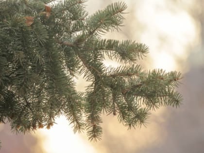 Надолго ли задержится тепло в Челябинской области, рассказали южноуральцам