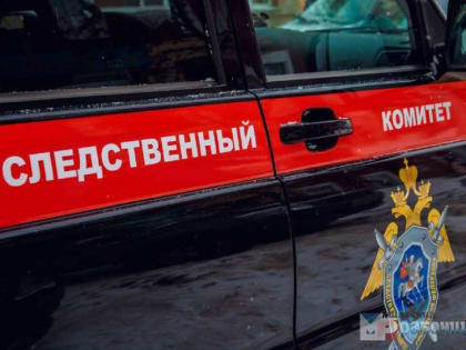 Срочно! Семья южноуральцев обнаружена мертвой в овощехранилище