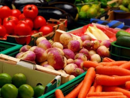 ВАЖНО. Универсальная продуктовая ярмарка в Челябинске откроется 2 октября