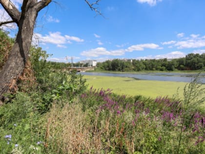 В Челябинске благоустроят набережную реки Миасс от ДК ЧЭМК до Благодатово