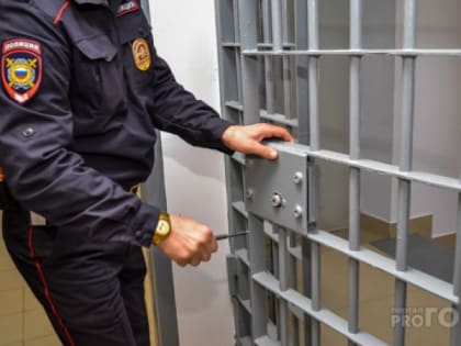 Неудачная кража телефона в магазине электроники