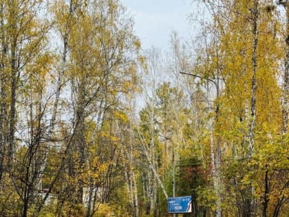 Пешеходные тротуары в Озерске: инициатива местного главы