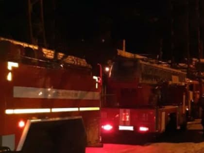 Мужчина и женщина погибли во время пожара в Челябинской области