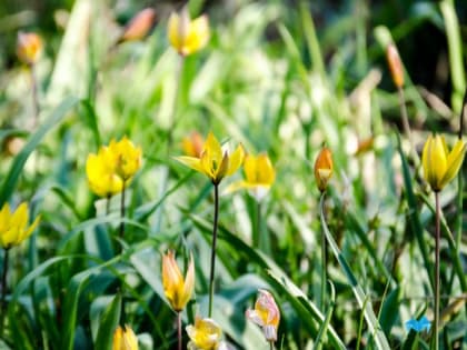 Магнитогорцев ждут теплые длинные выходные