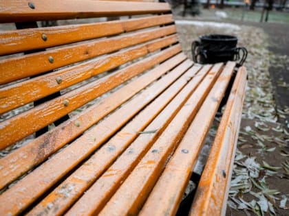 Приближение холодов: Челябинск готовится к заморозкам