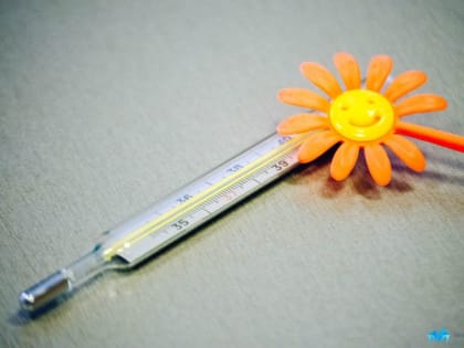 В&nbsp;Челябинской области заболеваемость простудой среди школьников снизилась на&nbsp;33%