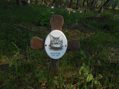 «В любви дошли до крайности»: жители Челябинска хоронят своих кошек и собак под православными крестами