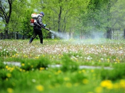 3 мая 2023 года в Ленинском районе силами подрядной организации МКУ «Служба благоустройства Ленинского района города Челябинска» будет проводиться противоклещевая обработка обществ