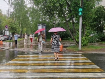 Погода в Челябинской области: грозы и дожди ожидают жителей