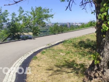 Акарицидная обработка парков в Магнитогорске начнется после Дня знаний