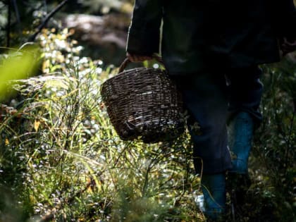 Южноуральцы четвертые сутки ищут потерявшегося мужчину