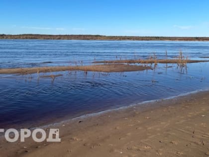 Стало известно, что жители Челябинской области часто нарушают правила купания в водоемах