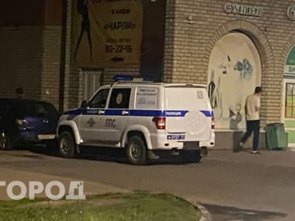 Стрельба в деревне Шипкино: шокирующий инцидент с участием подростков