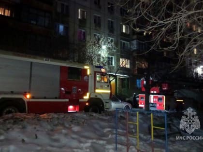 При пожаре в челябинской девятиэтажке погибли бабушка с 12-летней внучкой