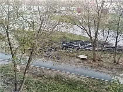 Принудительная парковка. На газоне