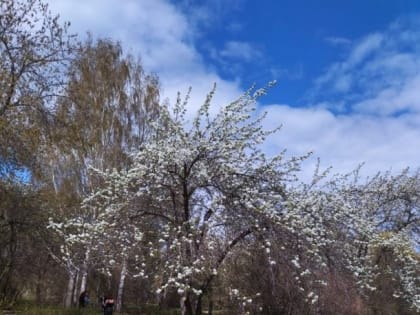 Читатели пишут №1590