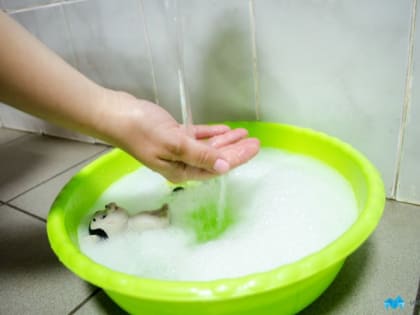 График отключения горячей воды в Магнитогорске