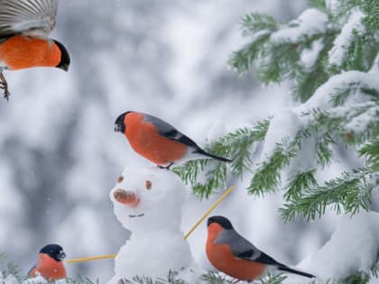 Прогноз погоды на ближайшие дни