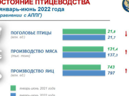 В Челябинской области увеличилось производство птицеводческой продукции