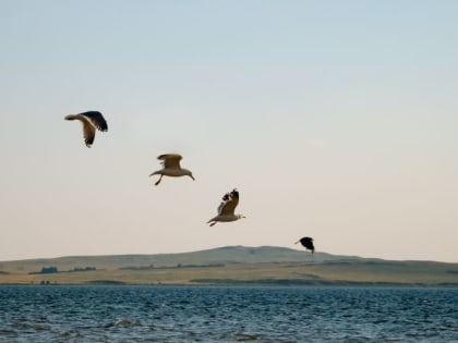 На озеро Тургояк не пустят без путёвки