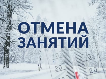 В школах Коркинского округа из-за мороза отменили занятия в первую смену для 1-7 классов