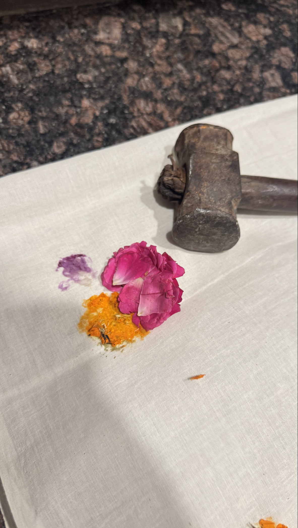 From Petal to Print