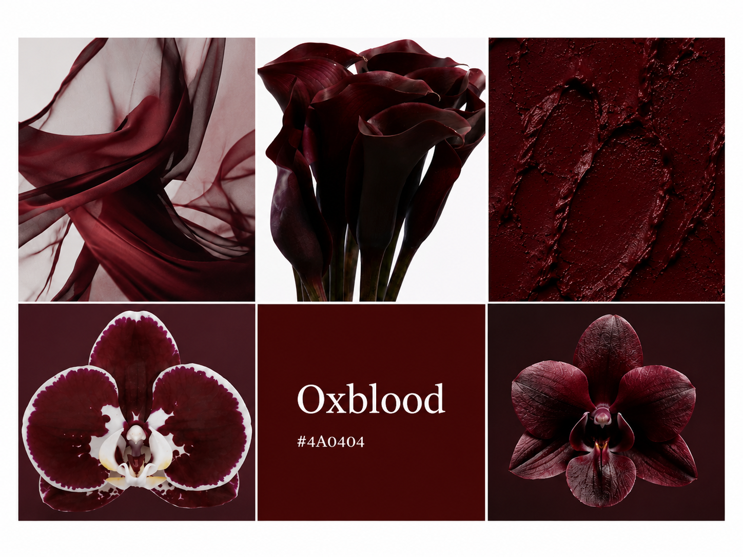 Beyond Ivory: The Colours Shaping Festive 2026