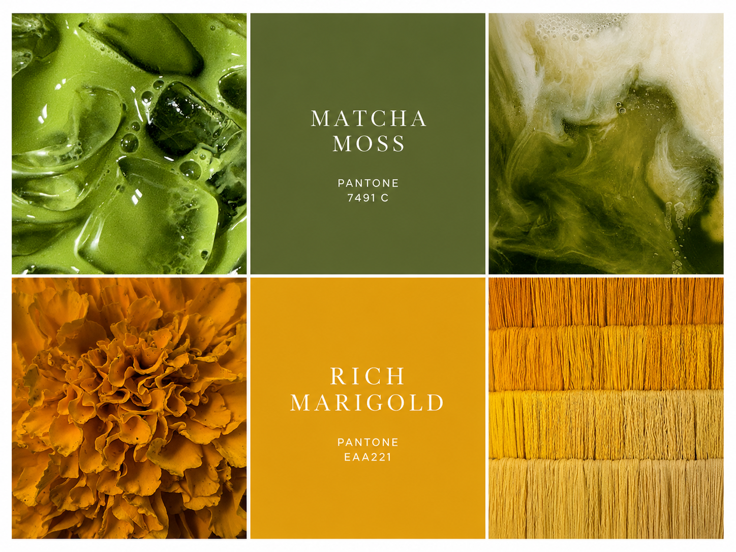 Beyond Ivory: The Colours Shaping Festive 2026