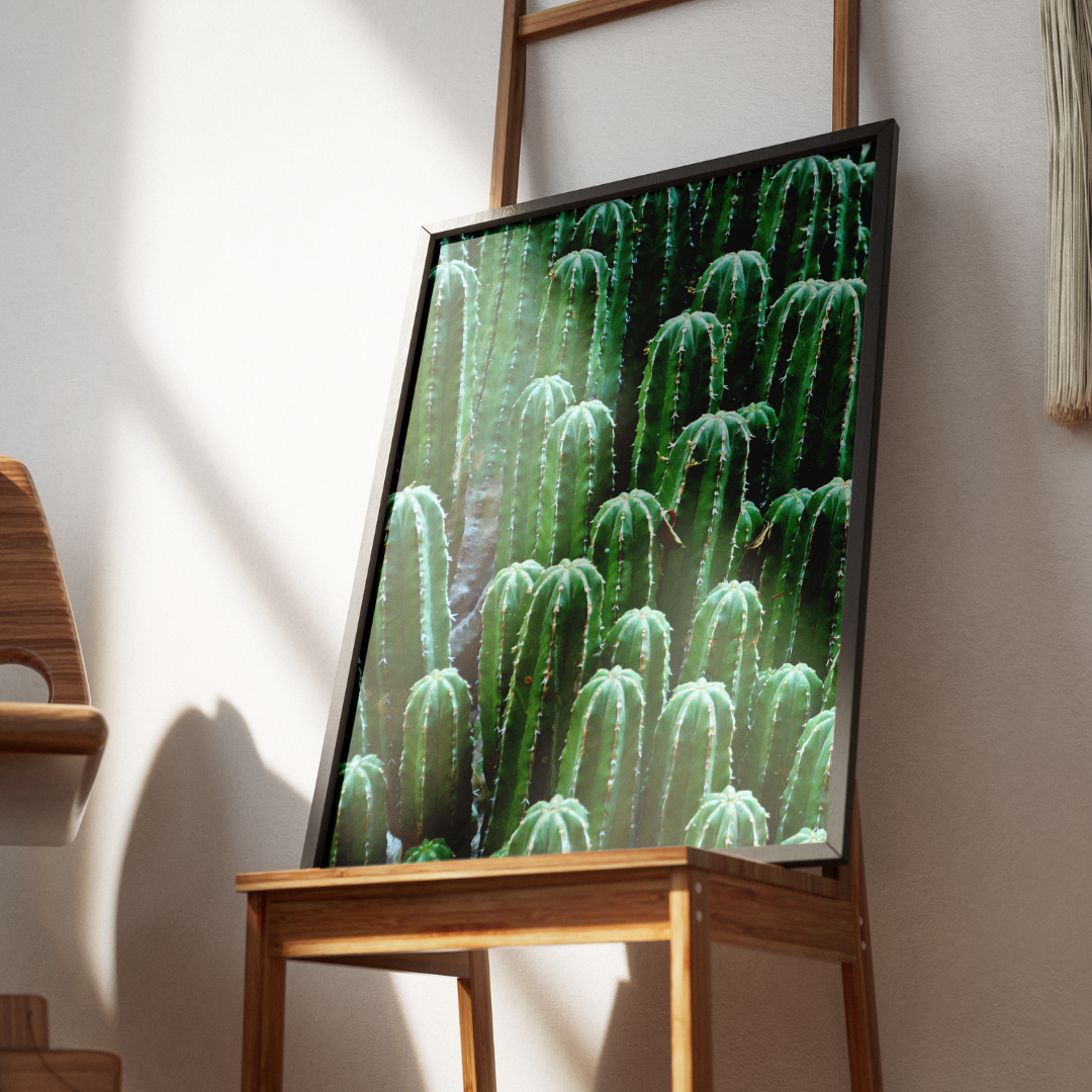 Vitalité du Désert