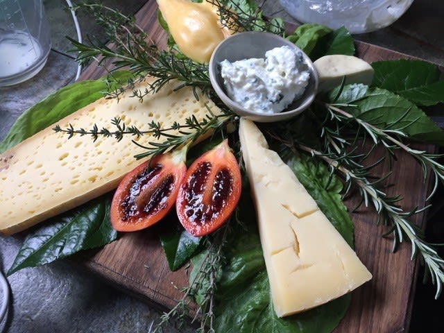 Fynboshoek Cheese Farm – activity near Eersterivierstrand, Tsitsikamma