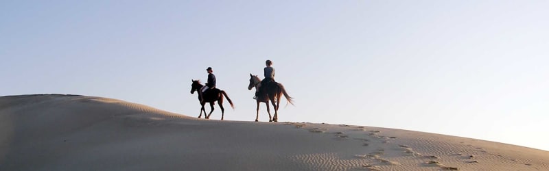 Beach horse trails along the coastline near Eersterivierstrand, Eastern Cape