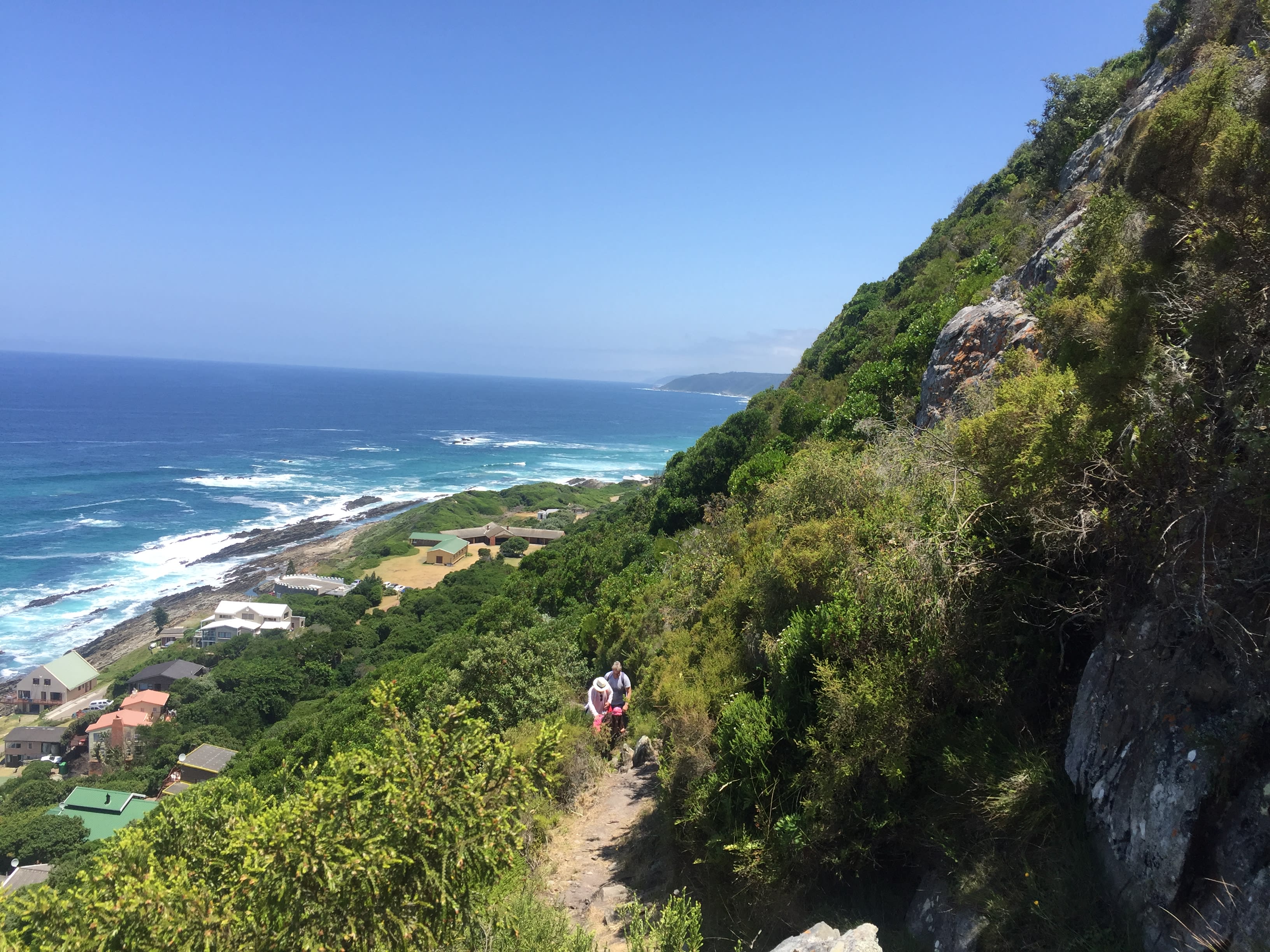 Hiking trail through fynbos vegetation near Eersterivierstrand, Eastern Cape