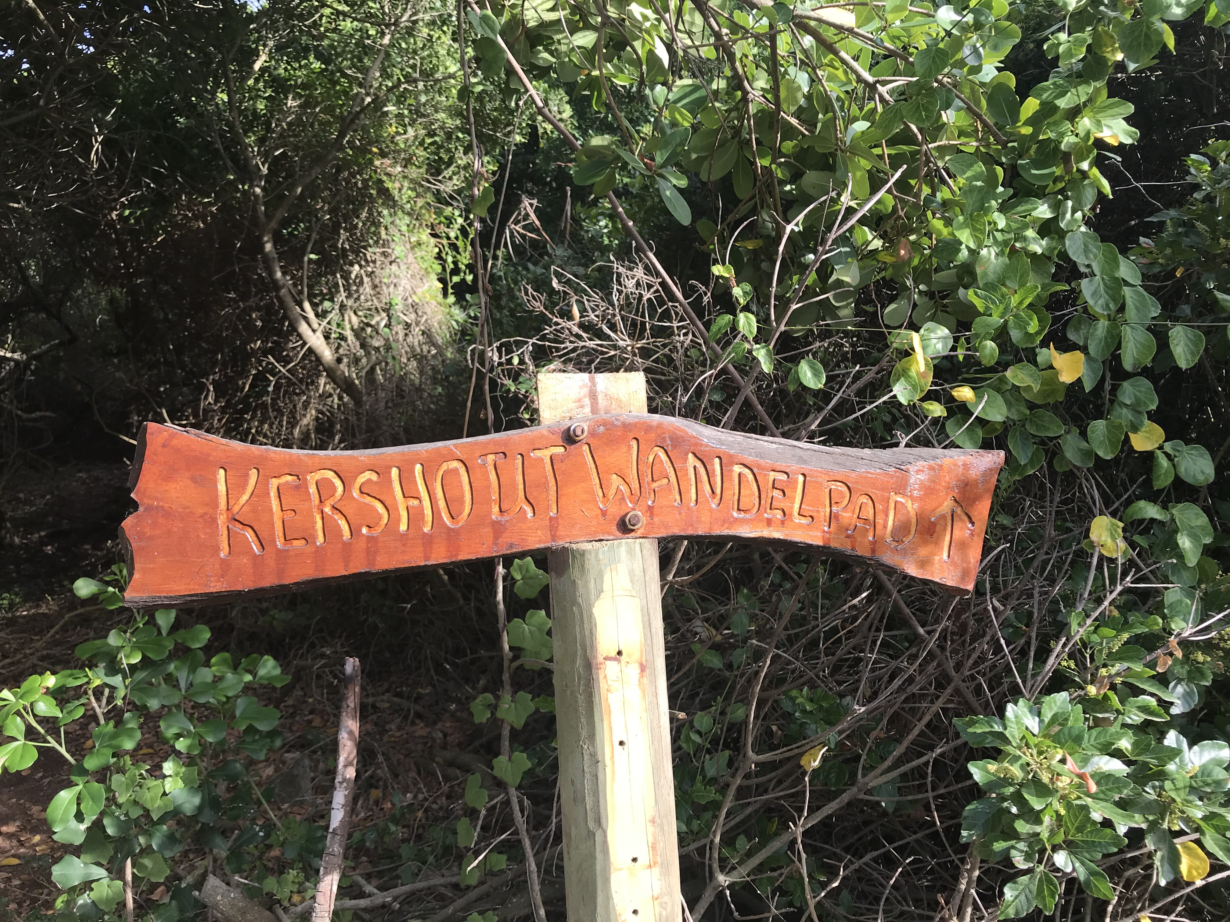 Indigenous Tsitsikamma forest wildlife near Eersterivierstrand, Eastern Cape
